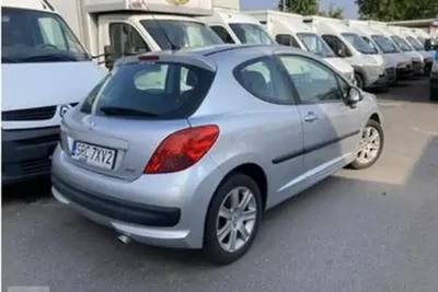 Descargar Manual de Propietario PEUGEOT 207 Dag 2007