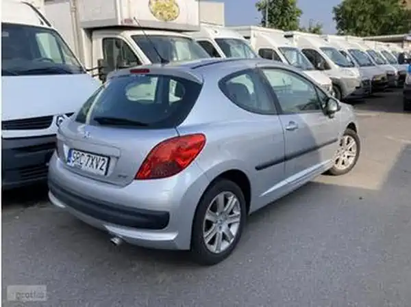 Descargar Manual de Propietario PEUGEOT 207 Dag 2007