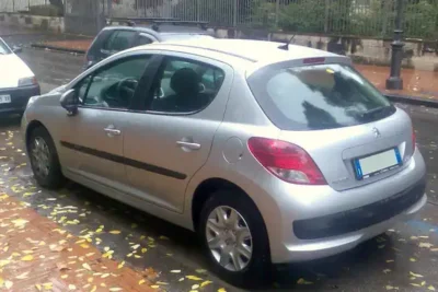 Descargar Manual de Propietario PEUGEOT 207 Dag 2010