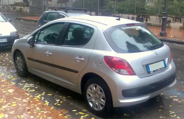 Descargar Manual de Propietario PEUGEOT 207 Dag 2010