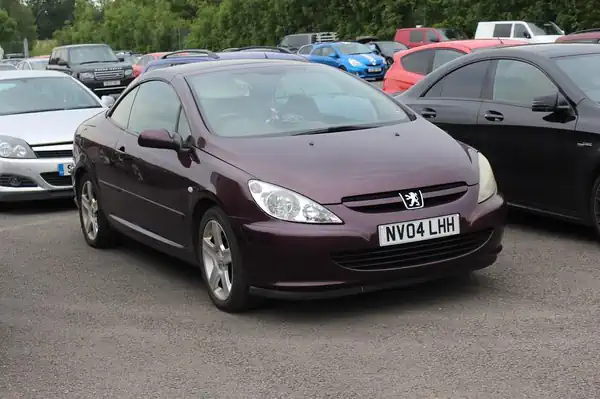 Descargar Manual de Propietario PEUGEOT 307 CC 2004