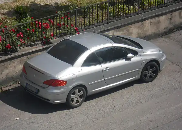 Descargar Manual de Propietario PEUGEOT 307 CC Dag 2004