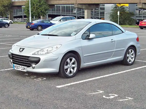 Descargar Manual de Propietario PEUGEOT 307 CC Dag 2007