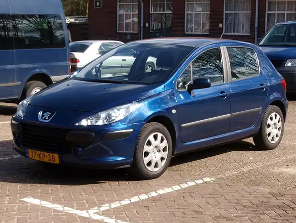 Descargar Manual de Propietario PEUGEOT 307 Dag 2003