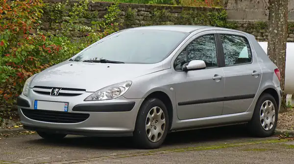 Descargar Manual de Propietario PEUGEOT 307 Dag 2004